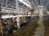 Агрегат доильный АДМН-200 - AGRO96.RU