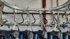 Подвесная транспортная система для молокопровода ПТС-200 "DALEX" - AGRO96.RU