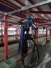 Агрегат доильный АДМН-250 с подвесной транспортной системой "DALEX" - AGRO96.RU