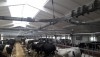 Агрегат доильный АДМН-200 с подвесной транспортной системой "DALEX" - AGRO96.RU
