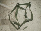 Недоуздок капроновый с пряжкой регулируемый (У) - AGRO96.RU