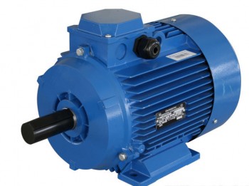 Электродвигатель АИР 100L4 У2 IM1081 4/1500 - AGRO96.RU