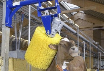 Чесалка для Коров маятниковая "Массаж Эффект" - AGRO96.RU