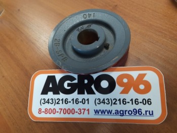Шкив электродвигателя GPV2200 (140-2В (38мм) 6000097) - AGRO96.RU